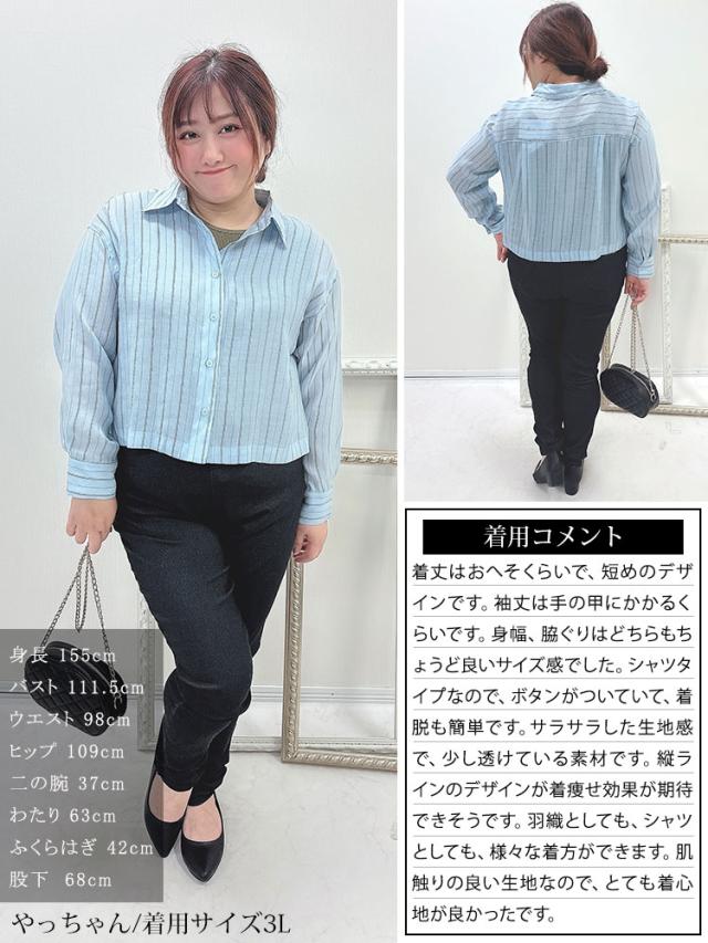 シアーストライプショート丈シャツブラウス
