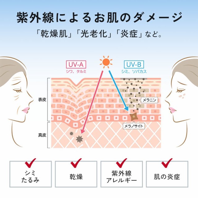 UV99％カットスイートフラワー55cm晴雨兼用折り畳み傘