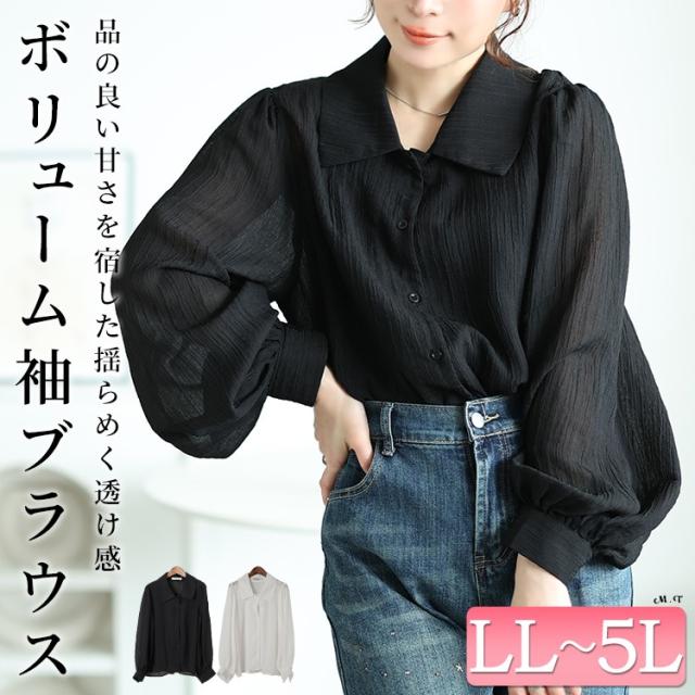 ボリュームスリーブシワ加工シアーシャツ