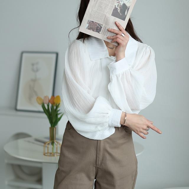 ボリュームスリーブシワ加工シアーシャツ