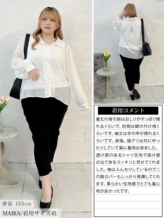 ボリュームスリーブシワ加工シアーシャツ