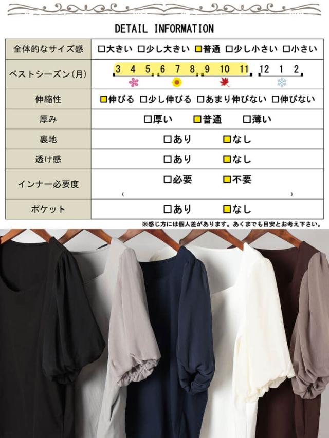 シフォンバルーンスリーブプルオーバー