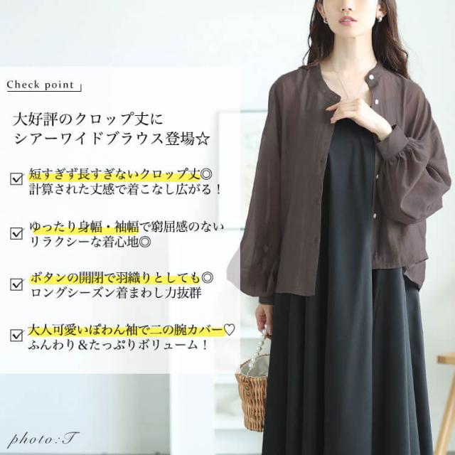 ボリュームスリーブクロップドシアーブラウス