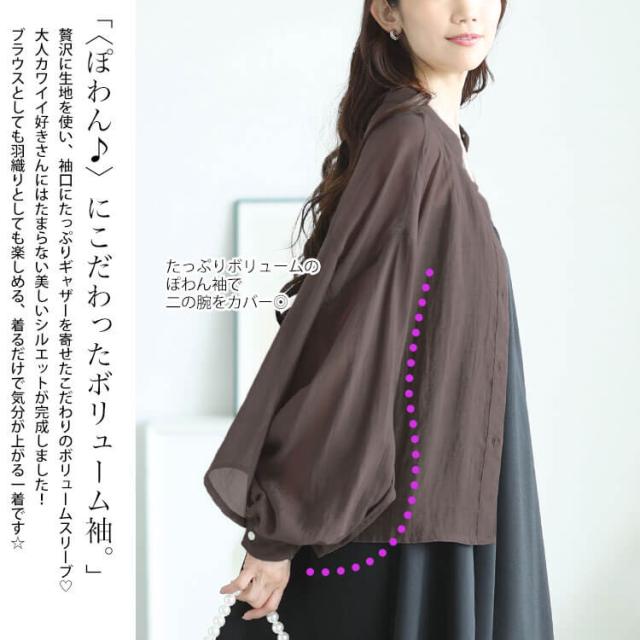 ボリュームスリーブクロップドシアーブラウス