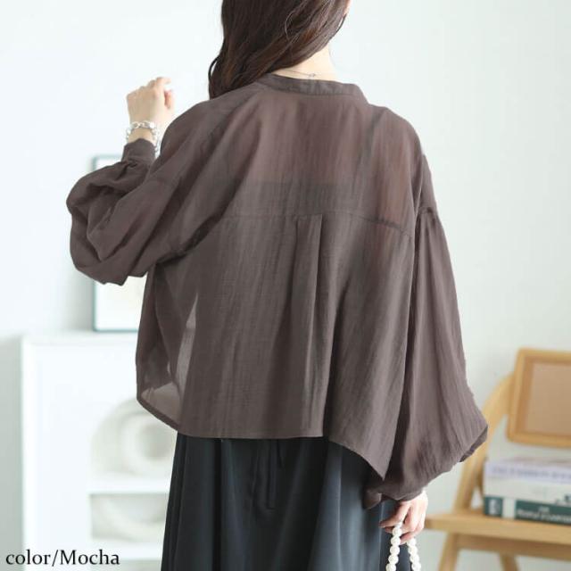 ボリュームスリーブクロップドシアーブラウス