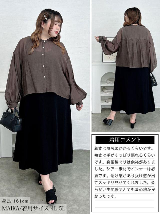 ボリュームスリーブクロップドシアーブラウス