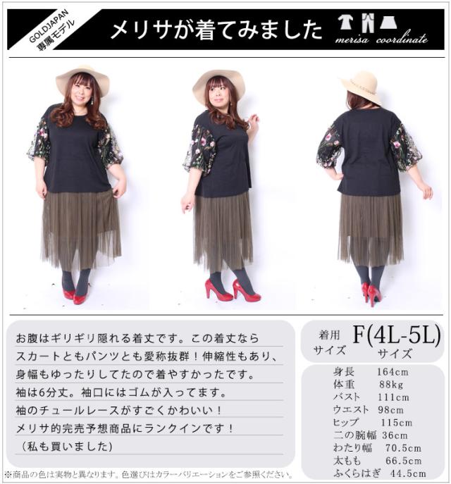 刺繍ボリューム袖トップス