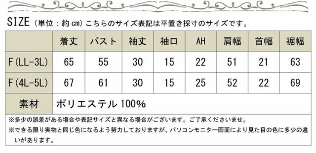 刺繍ボリューム袖トップス