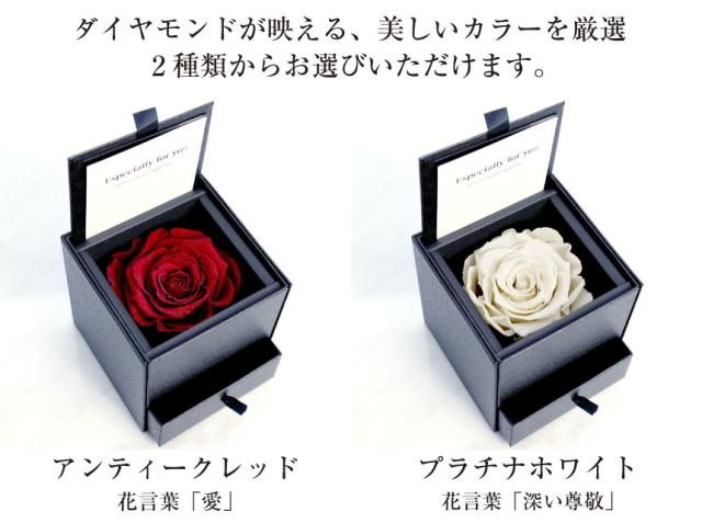 レディース ネックレス