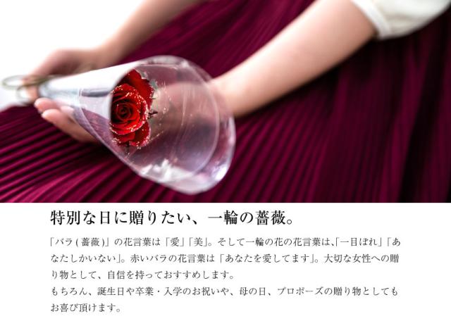 プリザーブドフラワー 薔薇