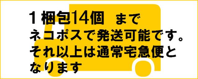 蔵出し zippo保管用 純正プラケース スリム専用 レア 1990年代-2000年代前半 PCASE-SLIM 画像5