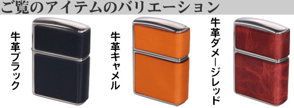 アーマーレザーカバードバリエーション画像