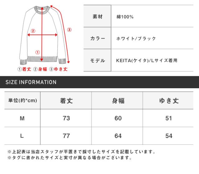 Tシャツ メンズ 半袖 ビッグシルエット バックプリント ロゴ メンズTシャツ ビッグTシャツ カットソー ドルマンスリーブ ドロップショルダー プリント ビッグロゴ 白 黒 ルーズ ストリート ビター系 BITTER pm-9522 11