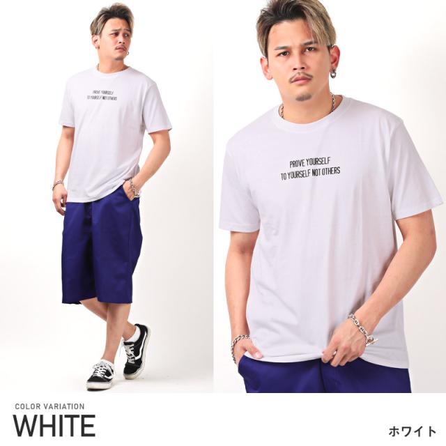 Tシャツ メンズ 半袖 ロゴ プリント クルーネック メンズTシャツ 半袖Tシャツ カットソー プリントTシャツ トップス 英字ロゴ ホワイト ベージュ チャコール カジュアル アメカジ サーフ 夏 ビター系 BITTER aa-1489 7