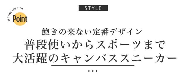 スニーカー メンズ 靴 シューズ ローカット キャンバス レースアップ サイドレース シンプル カジュアル フットウェア スポーティ 通勤 通学 2