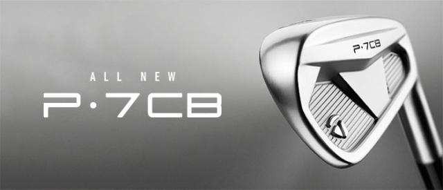 テーラーメイド New P7CB （'24）アイアン 単品 （#4、#5） Dynamic Gold MID 115 ／ N.S.PRO MODUS3 TOUR 105 スチールシャフト 2024年モデル Taylormade