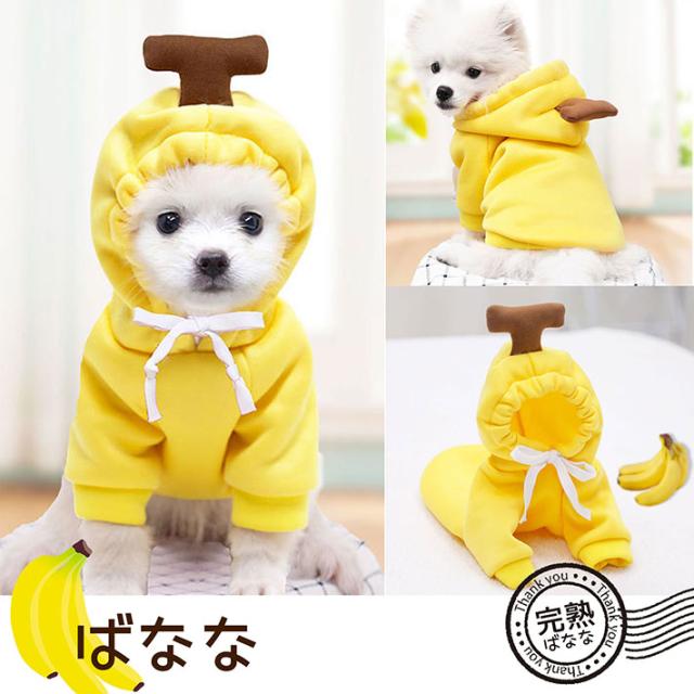 ⭐️イヌノハナ ふわふわトレーナー かわいい 犬 イヌ 用 イエロー M