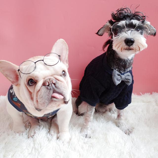 犬もCOOLですw】犬 眼鏡 サングラス 猫 犬 ネコ イヌ 小型犬 NEK