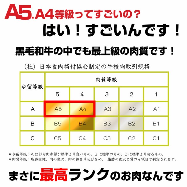 美しい A5ランク 特選 オリーブ牛 黒毛和牛 ロース 焼肉 1000g 牛肉 牛 A5等級 等級 焼肉 バーベキュー q お花見 花見 肉 カルビ ｂｂ 代引き手数料無料 Carlavista Com