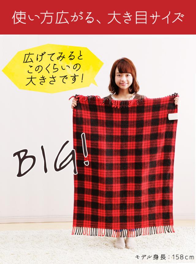 使い方広がる、大き目サイズ