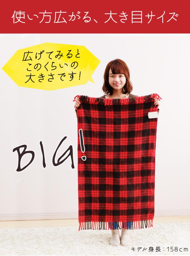 使い方広がる、大き目サイズ