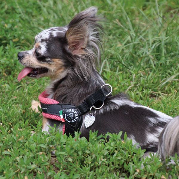 ハーネス犬用ワンちゃんスタイリッシュソフトメッシュフレブルトレ・ポンティフィッビア散歩FibbiaadjustabletypeSOFTMESH4号