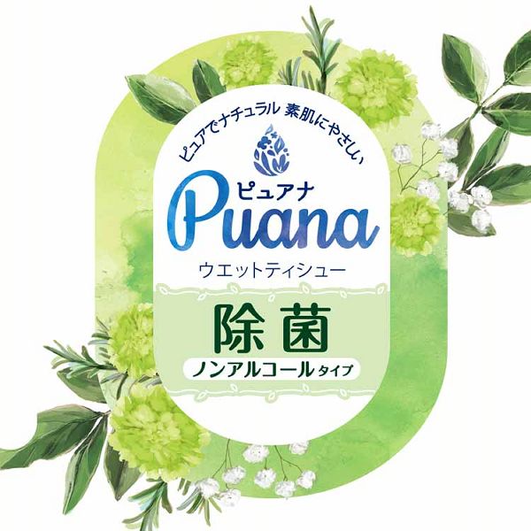 大王製紙Puana除菌ウェットティッシュノンアルコール本体無添加無香料抗菌まとめ買い12個セット】エリエールピュアナウエットティシューノンアルコールタイプ本体47枚