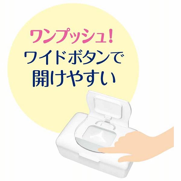 大王製紙Puana除菌ウェットティッシュノンアルコール本体無添加無香料抗菌まとめ買い12個セット】エリエールピュアナウエットティシューノンアルコールタイプ本体47枚