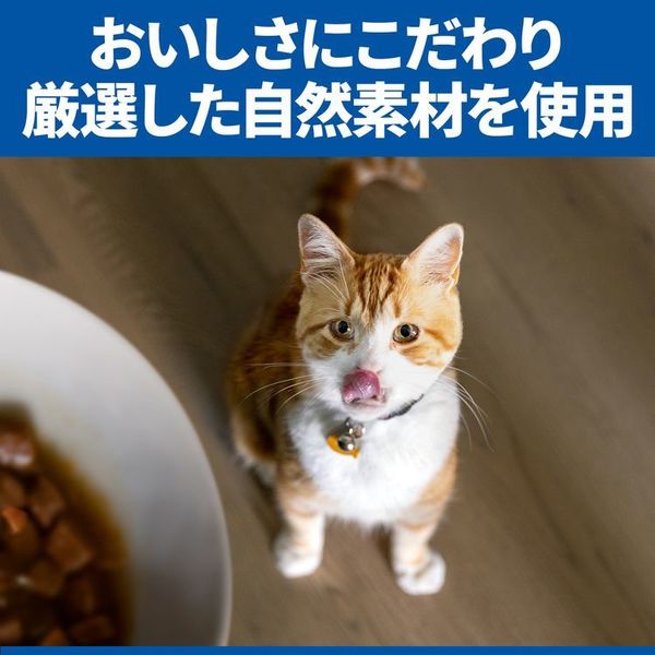 腸の健康サポート療法食キャットフードペットフードヒルズ猫猫用腸の健康サポートプラスチキン1.25kg