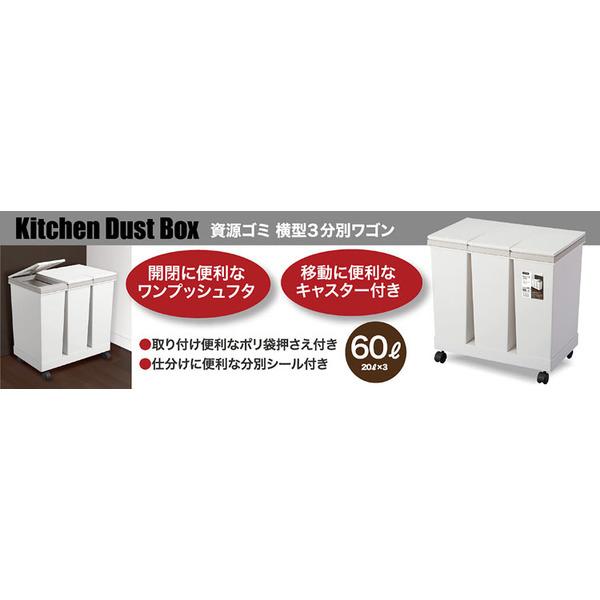 ゴミ箱屋内ペールキッチンダストボックス横型キャスター付スタイリッシュ省スペースゴミの分別3分別横型3分別ワゴンペールホワイト 