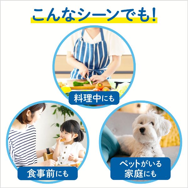 詰め替え泡で出てくる約4回分まとめ買い手洗い石鹸薬用殺菌消毒SPT採用弱酸性ビオレユー【3個セット】ハンドウォッシュ花王液体せっけんビオレu泡ハンドソープつめかえ用770mlKao
