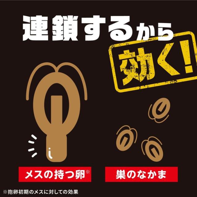 アース製薬アースあーすブラックキャップ屋外用1年間ゴキブリ駆除ゴキブリダンゴ駆除エサ剤【2個セット】ブラックキャップ屋外用16個入 