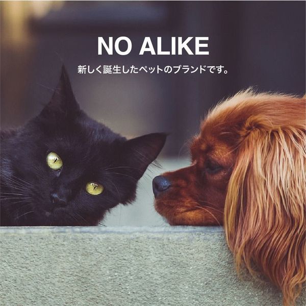 爪研ぎトンネル猫多機能猫グッズおもちゃ遊具ネコ用品爪ペットケアシービージャパンNOALIKEつめが研げるペットトンネル 