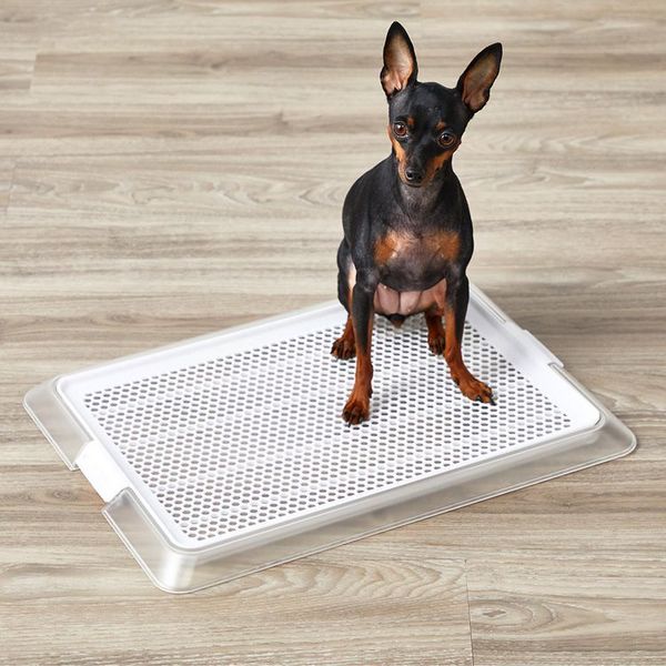 犬ペットトイレ薄型抗菌幼犬老犬低底滑り止め衛生ペットレークリアメッシュSボンビアルコン