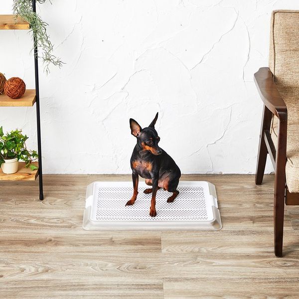 犬ペットトイレ薄型抗菌幼犬老犬低底滑り止め衛生ペットレークリアメッシュSボンビアルコン