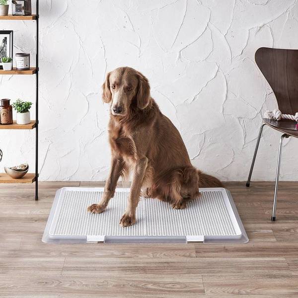 犬ペットトイレ薄型抗菌幼犬老犬低底滑り止め衛生ペットレークリアメッシュXLボンビアルコン 