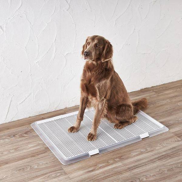 犬ペットトイレ薄型抗菌幼犬老犬低底滑り止め衛生ペットレークリアメッシュXLボンビアルコン 