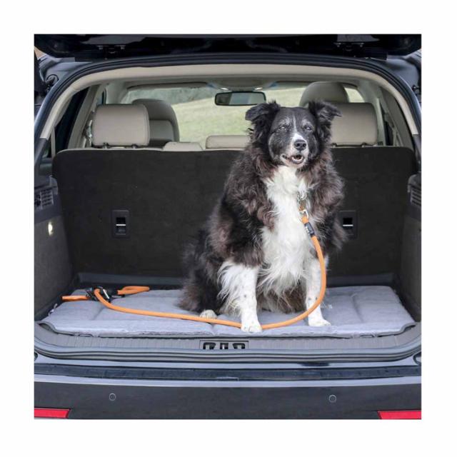 ペットベッド犬洗える中型犬おしゃれリバーシブル壊れにくいオールシーズン小型犬中型犬お手入れ簡単TALLTAILSクレート･ベッド/Sダッドウェイペット