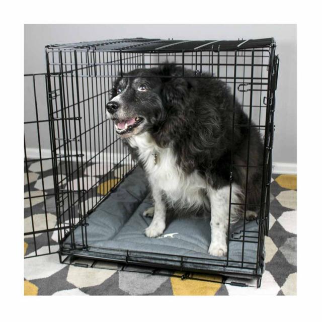 ペットベッド犬洗える中型犬おしゃれリバーシブル壊れにくいオールシーズン小型犬中型犬お手入れ簡単TALLTAILSクレート･ベッド/Sダッドウェイペット