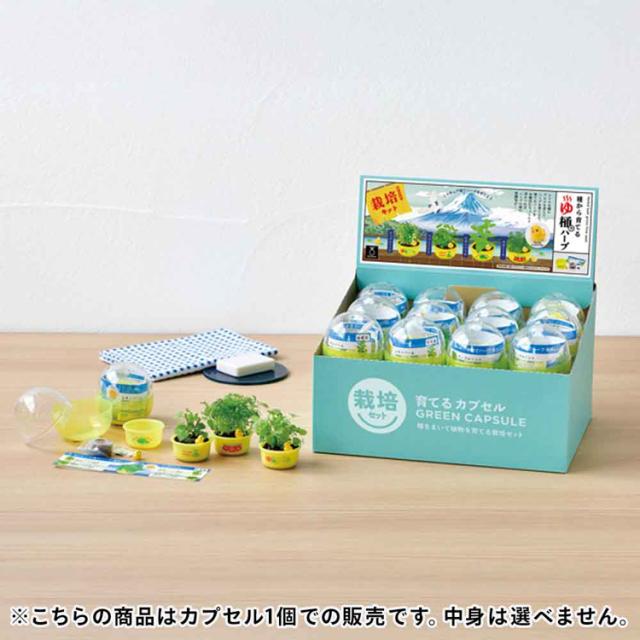 栽培キット栽培セットハーブ聖新陶芸SEISHINミニ湯桶あひるちゃん香草ランダム育てるカプセルゆ桶でハーブ栽培