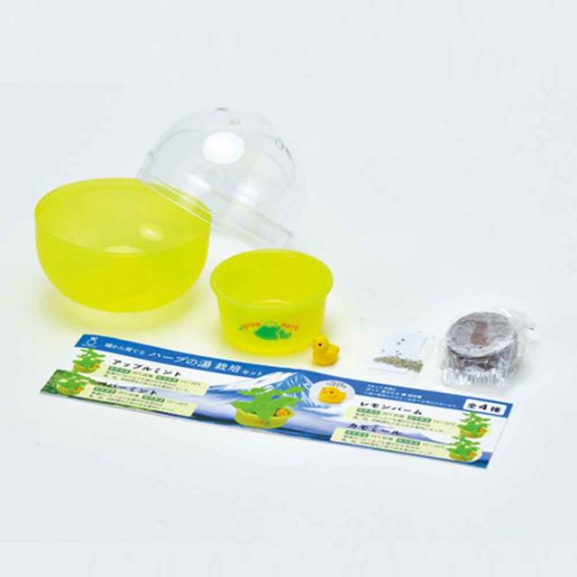 栽培キット栽培セットハーブ聖新陶芸SEISHINミニ湯桶あひるちゃん香草ランダム育てるカプセルゆ桶でハーブ栽培