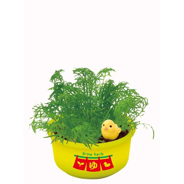 栽培キット栽培セットハーブ聖新陶芸SEISHINミニ湯桶あひるちゃん香草ランダム育てるカプセルゆ桶でハーブ栽培