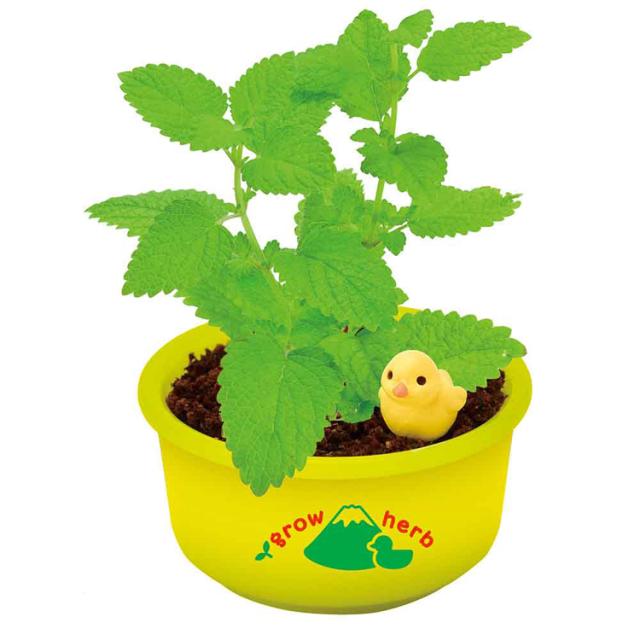 栽培キット栽培セットハーブ聖新陶芸SEISHINミニ湯桶あひるちゃん香草ランダム育てるカプセルゆ桶でハーブ栽培