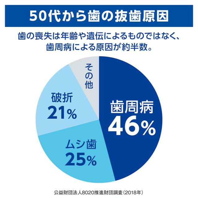 ライオンデントヘルス知覚過敏研磨剤無配合口臭ケア歯周病予防トータルケア歯みがき歯ブラシデンタルフロス歯間清掃Y字タイプホームケアデントヘルス薬用ハミガキ4点セット（ハミガキ・ハブラシ×2・デンタルフロス）LION