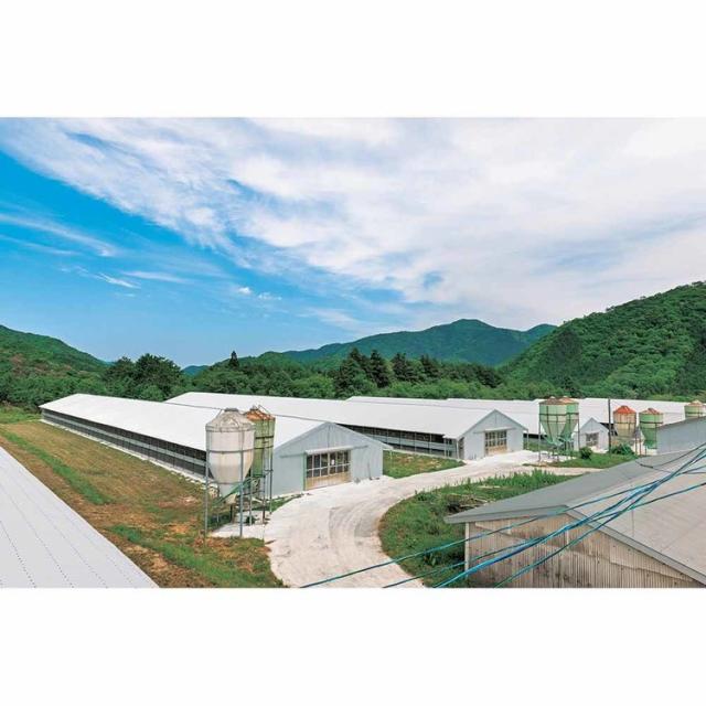 ギフトスイーツ牛乳カステラ【倉庫登録】秋川牧園のたまごと牛乳を使ったまじめなカステラ8個