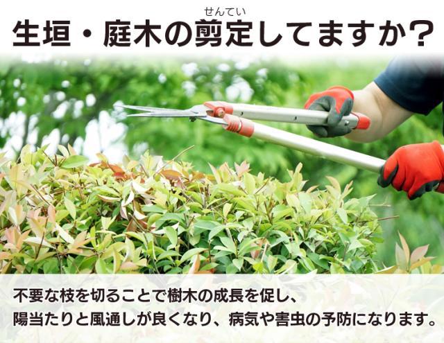 RYOBI ヘッジトリマー　　　　　庭木　植木　　生け垣　剪定 生垣や植木の剪定に 京セラの「ヘッジトリマーシリーズ」 - YouTube