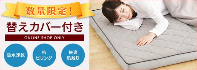 替えカバー付き