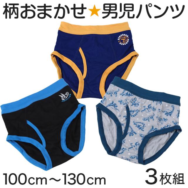 男児 柄おまかせ 前あきブリーフ 3枚組 100 110 120 130 cm