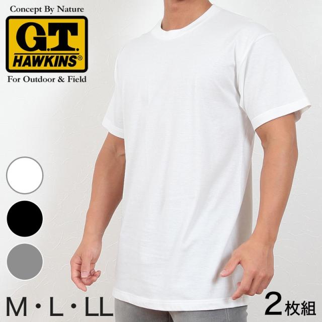 グンゼ Tシャツ メンズ 半袖 綿100% 2枚組 M〜LL