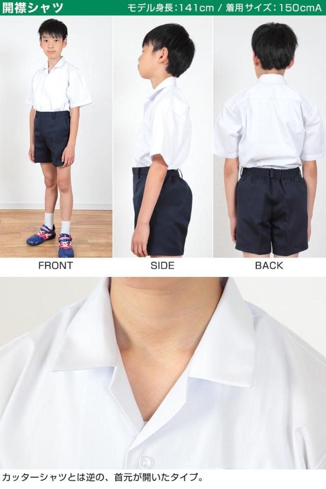 学生服 シャツ 男子 開襟シャツ 半袖 110cmA〜180cmB (取寄せ)